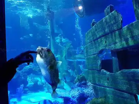 Photo de Sharkbait Reef