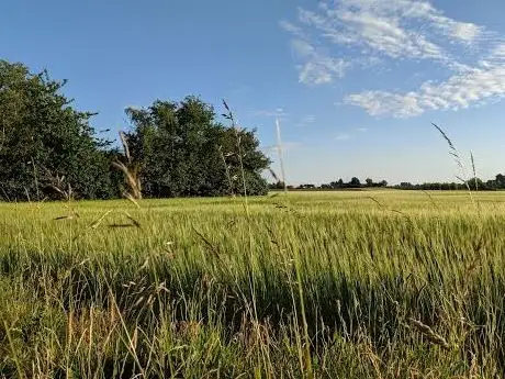 Photo de Köpingebro Idrottsplats
