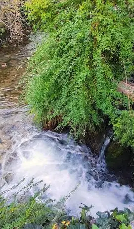 Photo de Šetnica uz rijeku Žrnovnicu