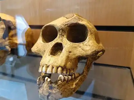 Photo of Grotte de Kent