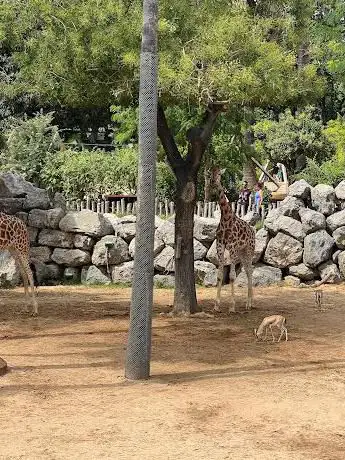 Photo de Parc infantil Zoo Barcelona