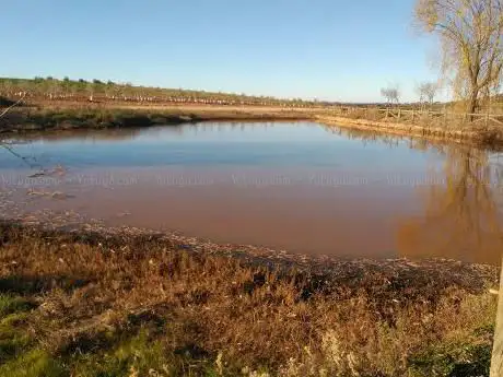 Photo de Charca De Los Palos