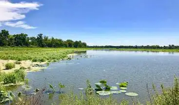 Photo de Horseshoe Lake State Park