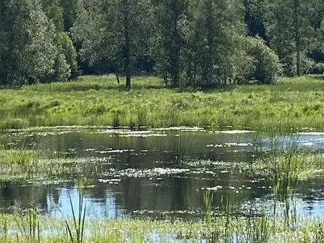 Photo de Sätraskogens Naturreservat