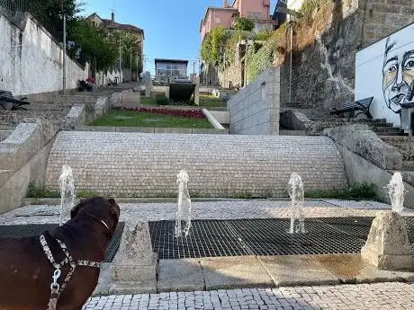 Photo de Miradouro da Bela Vista