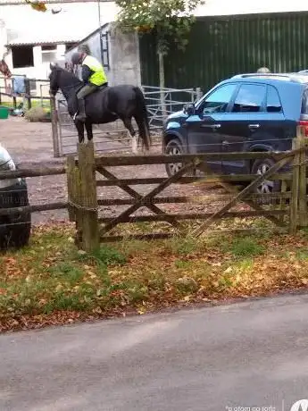 Photo de Great Bookham Equestrian Centre