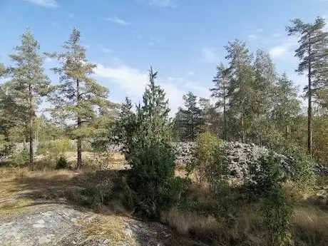 Photo de Fornborg Tumbo