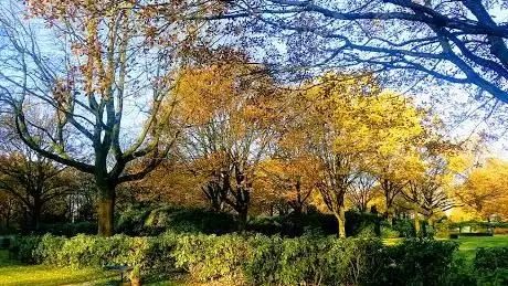 Photo de Hülsdonker Busch