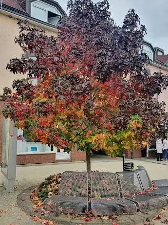 Photo de Gradski park