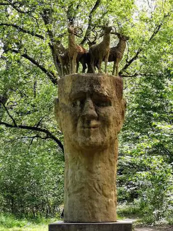 Photo de Foret de Rougeau