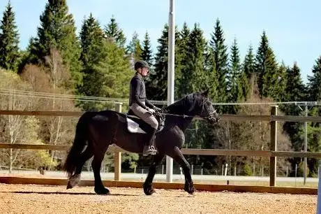 Photo de Harmoni Rid och Aktivitetscenter Team Råsa Hästklubb