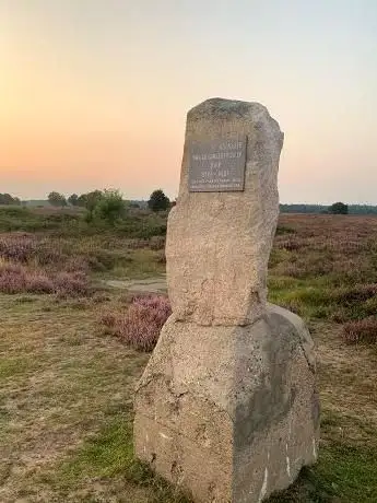 Photo of Monument belge