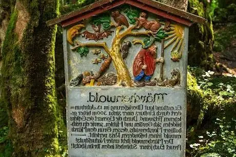 Photo de Forêt des fées