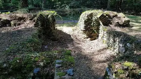 Photo de Motruïne