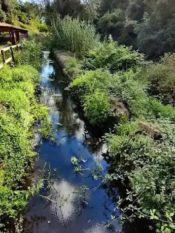 Photo de Sentiero delle Forre di Corchiano