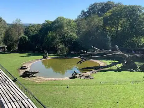 Photo of Marcelle Natureza