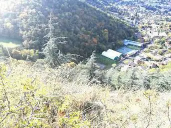 Photo de Route romaine - Randonnée forêt
