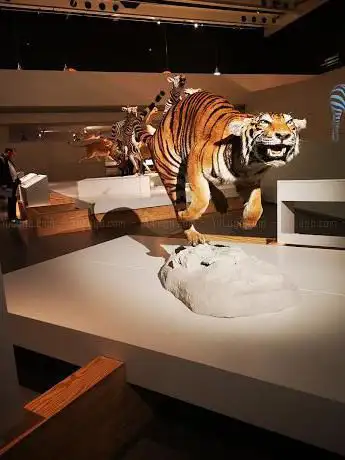Photo de Ciudad de La Ciencia