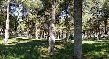 Photo de Tepebaşı Gençlik Parkı