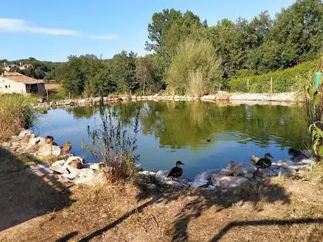 Photo de Refugi d'animals Camadoca Centre