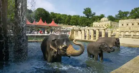 Photo of Erlebnis-Zoo Hannover