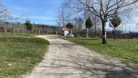 Photo de Parque de Merendas da Aboboreira