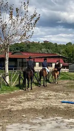 Photo de ASD Franco's Horses