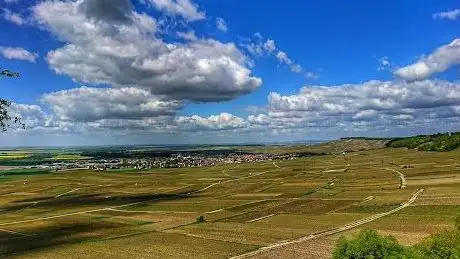 Photo de Falaise De Vertus