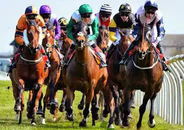 Photo de Musselburgh Racecourse