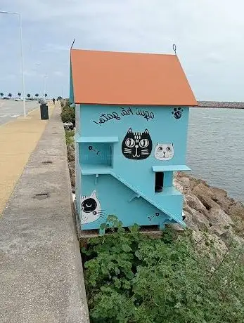 Photo de Casa Dos Gatos