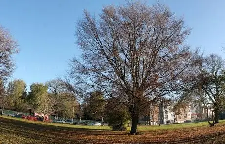 Photo de Hyde Road Park