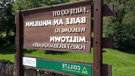 Photo de Milltown Forest Recreation Area