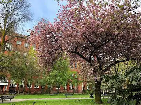 Photo de Sackville Garden