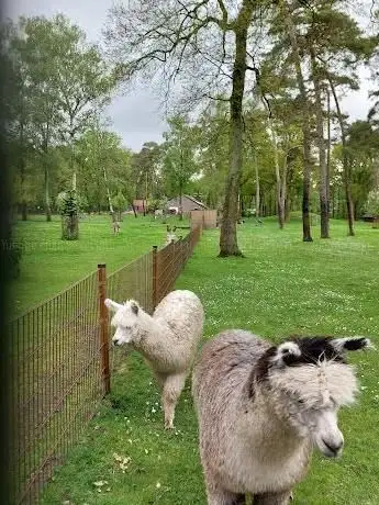 Photo of Kinderboerderij en hertenkamp Weert
