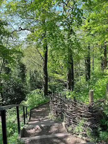 Photo de Brincliffe Edge Woods