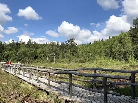 Photo de Prügelsteg - Moor