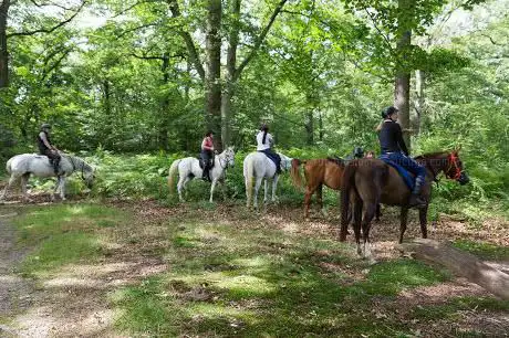Photo de Écuries ALF - Endurance et Randonnées