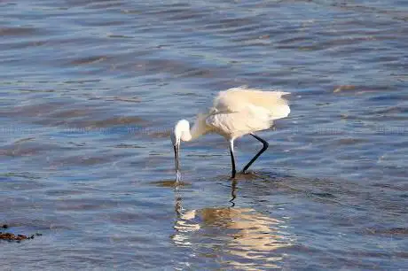 Photo de Praia de Fontexelo