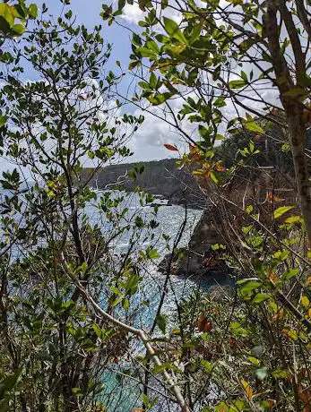 Photo de Randonnée Guadeloupe : Trace Grotte Anse Castalia â€“ Anse Bertrand