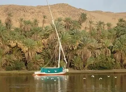 Photo de Imaginative felucca aswan