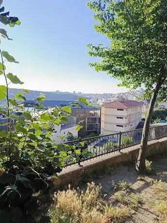 Photo de Çamlık Parkı