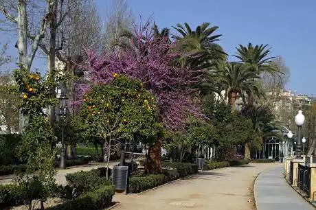 Photo de Paseo de la Bomba