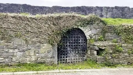 Photo de Medieval Limerick City Wall