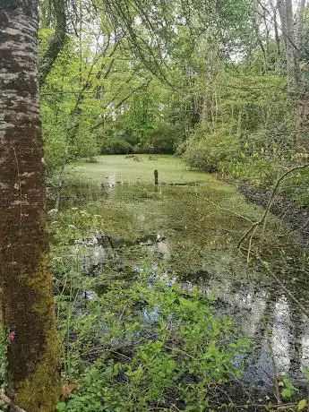 Photo de Arboretum du Chêne-Vert
