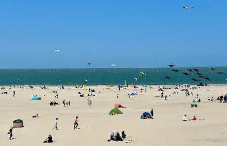 Photo de Strand Kijkduin