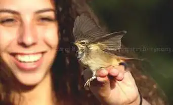 Photo de International Birding and Research Center Eilat