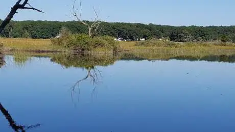 Photo of Stewart B. McKinney National Wildlife Refuge