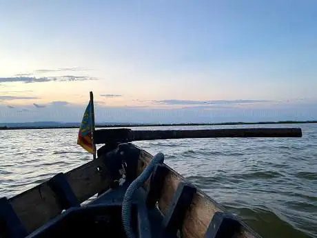 Photo de ALBUFERA TOURS