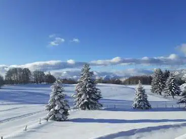 Photo de Les Cabanes de l'Ange