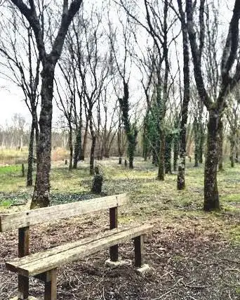 Photo de Bois de Bordeaux